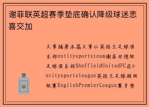 谢菲联英超赛季垫底确认降级球迷悲喜交加